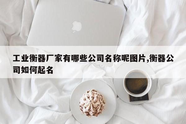 工业衡器厂家有哪些公司名称呢图片,衡器公司如何起名